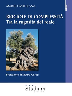 cover image of Briciole di complessità